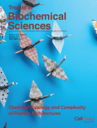 98. Chemical Topology and Complexity of Protein Architectures. Trends Biochem. Sci. 2018, 43 , 806-817.